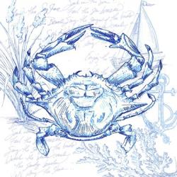 Coastal Sketchbook Crab | Obraz na stenu
