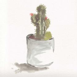 Watercolor Cactus Still Life II | Obraz na stenu