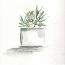 Watercolor Cactus Still Life IV | Obraz na stenu