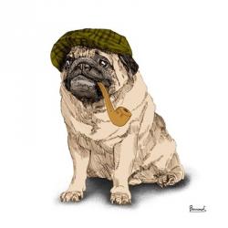 Pugs in Hats II | Obraz na stenu