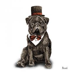 Pugs in Hats III | Obraz na stenu