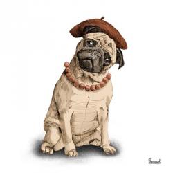 Pugs in Hats IV | Obraz na stenu