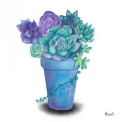 Turquoise Succulents IV | Obraz na stenu