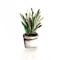 Potted Botanicals III | Obraz na stenu