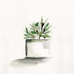 Potted Botanicals IV | Obraz na stenu