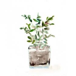 Potted Botanicals V | Obraz na stenu