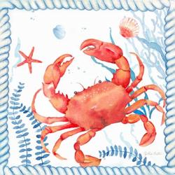 Nautical Sea Life I-Crab | Obraz na stenu