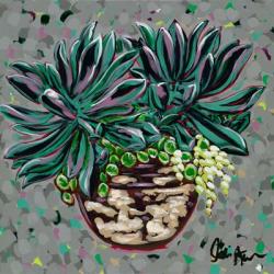 Succulent Pot I | Obraz na stenu