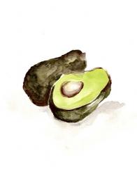 Veggie Sketch plain II-Avocado | Obraz na stenu