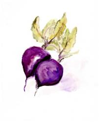 Veggie Sketch plain III-Beets | Obraz na stenu