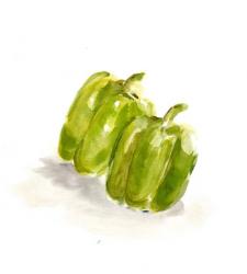 Veggie Sketch plain VIII-Green Pepper | Obraz na stenu