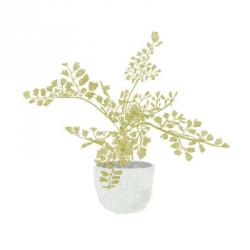 Potted Fern III | Obraz na stenu