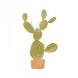 Watercolor Cactus I | Obraz na stenu