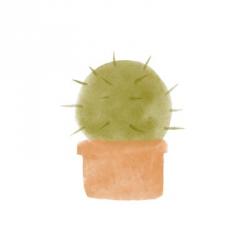 Watercolor Cactus III | Obraz na stenu