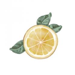 Citrus Limon V | Obraz na stenu