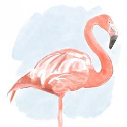 Tropical Flamingo II | Obraz na stenu