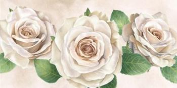 Ivory Roses Landscape I | Obraz na stenu