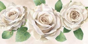 Ivory Roses Landscape II | Obraz na stenu