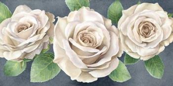 Ivory Roses on Gray Landscape II | Obraz na stenu