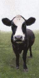 Funky Cow I | Obraz na stenu