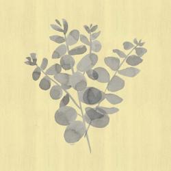 Natural Inspiration Eucalyptus Gray & Yellow II | Obraz na stenu