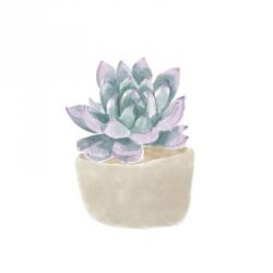 Simple Succulent IV | Obraz na stenu