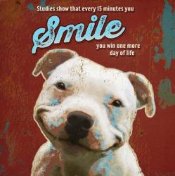 Pet Sentiment I-Smile | Obraz na stenu