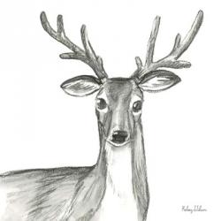 Watercolor Pencil Forest VIII-Deer | Obraz na stenu