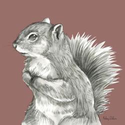 Watercolor Pencil Forest color IV-Squirrel | Obraz na stenu