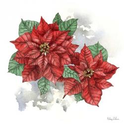 Winter Poinsetta II | Obraz na stenu