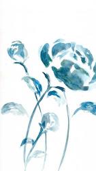 Blue Peonies II | Obraz na stenu