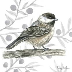 Backyard Birds II-Chickadee | Obraz na stenu