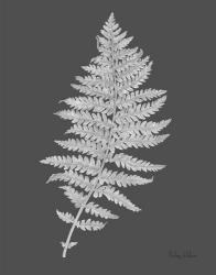 Neutral Fern on grey II | Obraz na stenu