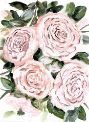 Gentle Roses Pink | Obraz na stenu