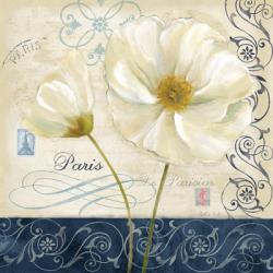 Paris Poppies Blue Trim II | Obraz na stenu