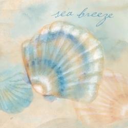 Watercolor Shell Sentiments I | Obraz na stenu