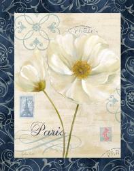 Paris Poppies w/Navy Border I | Obraz na stenu