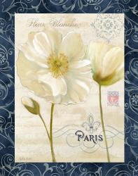 Paris Poppies w/Navy Border II | Obraz na stenu