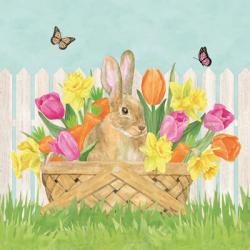 Hoppy Spring V | Obraz na stenu