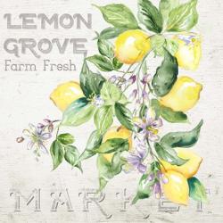 Lemon Grove II | Obraz na stenu