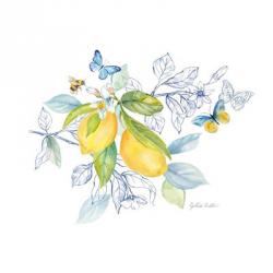 Lemon Sketch Book II | Obraz na stenu