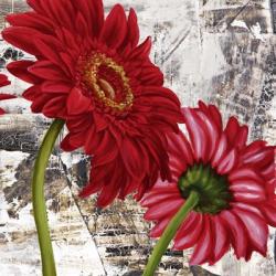 Red Gerberas III | Obraz na stenu