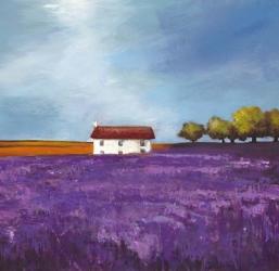 Field of Lavender I | Obraz na stenu