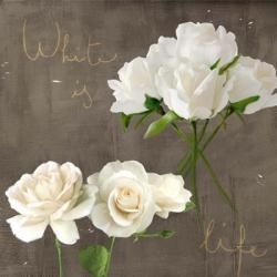 White Roses | Obraz na stenu