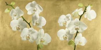 Orchids on a Golden Background | Obraz na stenu