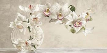 Orchid Arrangement I | Obraz na stenu