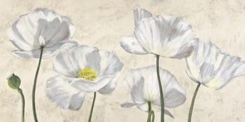 Poppies in White | Obraz na stenu