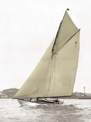 Victorian Sloop on Sydney Harbour | Obraz na stenu