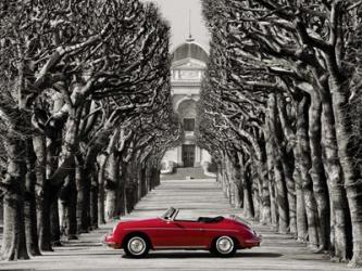 Roadster in Tree Lined Road, Paris | Obraz na stenu