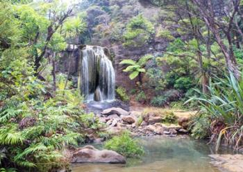 Rainforest waterfall (detail) | Obraz na stenu